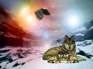 wolves1..jpg