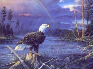 raineagle.jpg